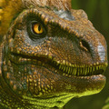 『ARK: Survival Ascended』や『Balatro』が配布！「PS Plus」5月度フリープレイタイトル発表