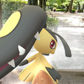 もし『ポケモン』クチートを実際に飼えたら…？繁殖から食事まで、愛玩動物飼養管理士が妄想解説