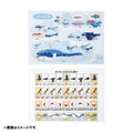 書籍「ポケモン生態図鑑」テーマのグッズが“学びと発見”盛り沢山！ジャポニカスケッチブックや、くるくるアニメのペーパークラフトなど