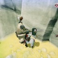 『龍の国 ルーンファクトリー』文句なしの完成度！最速で心から楽しんだスローライフ【プレイレポ】