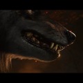 『Ghost of Yōtei』ゲームプレイに深く迫る特別番組が7月中に配信決定！【State of Play】