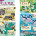 書籍「ポケモン生態図鑑」が発売！2人の”リアル博士”がフルカラーイラストで分かりやすく解説ー関連グッズも同時展開