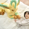 意外とデカい…！ 『ポケモン』等身大のイーブイフレンズぬいぐるみ第3弾が受付開始―今回はリーフィア、グレイシア、ニンフィアの3種類