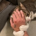 飼い猫でのRTA挑戦で数々の世界記録達成―数カ月に渡り謎カテゴリーを生み出しつづけるスピードランナー