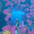 【特集】夏だ！海に行こうぜ……ゲームでな！釣りRPGに海中探索、清掃業まで個性的な良作タイトル5選