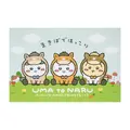 「ちいかわ ハッピーバッグ2026（午年）」が予約受付中！馬になったぬいぐるみや、ユニークな絵柄のポストカードブックなど計9アイテムセット