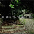 深夜監視ホラーゲーム『日本事故物件監視協会』“実在する”事故物件がリアル過ぎてマジで怖い。カメラ切り替えで「異常」を発見、間違えず報告せよ【プレイレポ】