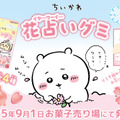 ちいかわ、ハチワレが可愛いグミに！「ちいかわ 花占いグミ」9月1日発売―「イヤ…」「ワーイ…」の印象的なシーンをイメージ
