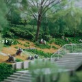 「ポケパーク カントー」公式がリアル「ポケモンセンター」らしき写真をチラ見せ―SNS上で“あのBGMが流れてほしい”と興奮の声