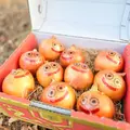 『ドラゴンクエストIII　そして伝説へ…』コラボイベントより