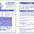 30年近く前の『ポケモン』ボードゲームをアップデート！最新ポケモンも追加し自己流改造で遊び続けるユーザー