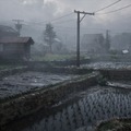 『SILENT HILL f』動画やスクショの投稿ガイドライン公開―プレイ動画などでのネタバレへの配慮を求める注意喚起も