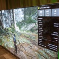 ラグは？ 画質は？ NVIDIAのクラウドゲーミングを極上5Kディスプレイやステアリングコントローラー、携帯機で体験！ 「GeForce NOW」の底力を様々なデバイスで試してきた