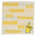 ピカチュウ、イーブイなどが可愛くデザイン！『ポケモン』新作ハンカチが販売中―アップリケ刺繡のタオルハンカチも