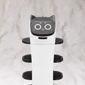 ファミレスでお馴染み！ネコ型配膳ロボット「ベラボット」が大きめなサイズのプラモデルに