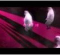 『キャサリン』の公式サイト更新－Catherineからの間違いメールが届く