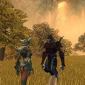 The Chronicles of Spellborn