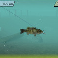FISH ON