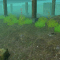 FISH ON