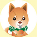 森のくまハウス