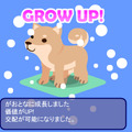 みんなのペットショップ