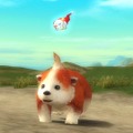 SiLKROAD ONLINE