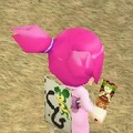 コンチェルトゲート