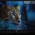 2006年のMac OS X 10.5「Leopard」のプレゼン