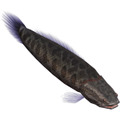 釣りパラダイス!