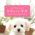 子犬と一緒に暮らすソーシャルペットゲーム『どこでもペット かわいい子犬』 
