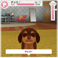 子犬と一緒に暮らすソーシャルペットゲーム『どこでもペット かわいい子犬』 
