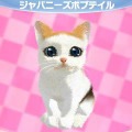 かわいい子猫３Ｄ