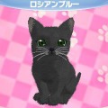 かわいい子猫３Ｄ