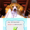 村で動物たちとの生活を満喫『オシャレでかわいい 子犬と遊ぼ！-海編-』12月20日発売
