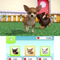 村で動物たちとの生活を満喫『オシャレでかわいい 子犬と遊ぼ！-海編-』12月20日発売