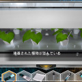 さまざまなものが脱出の鍵に