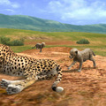 AFRIKA