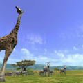 AFRIKA
