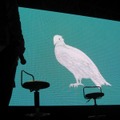 【TGS2008】マーべラスクリエイタートークバトルで飛び出したあのタイトルの続報