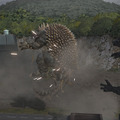 往年のたいあたり