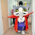 『のぶニャがの野望』『ぐるぐるダンジョン のぶニャが』スペシャルインタビュー！──編集部にのぶニャが様とまシャムね殿がやってきた！