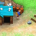 牧場物語 ようこそ!風のバザールへ
