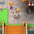 牧場物語 ようこそ!風のバザールへ