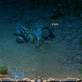 Lineage R and Lineage R the Cross Rancor are registered trademarks of NCsoft Corporation.　　1998-2007 c Copyright NCsoft Corporation. NC Japan K.K. was granted by NCsoft Corporation　　the right to publish, distribute, and transmit Lineage the Cross Rancor in Japan. All Rights Reserved.