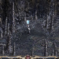 Lineage R and Lineage R the Cross Rancor are registered trademarks of NCsoft Corporation.　　1998-2007 c Copyright NCsoft Corporation. NC Japan K.K. was granted by NCsoft Corporation　　the right to publish, distribute, and transmit Lineage the Cross Rancor in Japan. All Rights Reserved.
