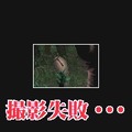 SIMPLE DSシリーズ Vol.46 THE 秘境探検隊〜超常スペシャル「驚異!人類未踏の世界各地に謎の未確認生物は存在した!!」〜