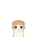 ねこと戯れるパズルゲーム『ねこ島日記』の正式サービスが開始―リリース記念キャンペーンも開催