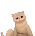 ねこと戯れるパズルゲーム『ねこ島日記』の正式サービスが開始―リリース記念キャンペーンも開催