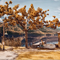 手作りビジュアルが凄い新作ADV『TRUBERBROOK』発表―Kickstarterを開始
