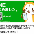 癒し系VR『あらいぐまラスカル』が東京ソラマチ店に登場－隠れたラスカルを探し出そう